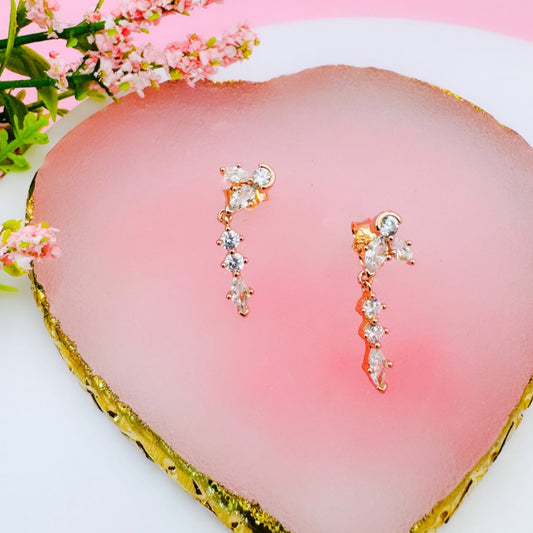 Aretes Colgantes Herbario Brillante