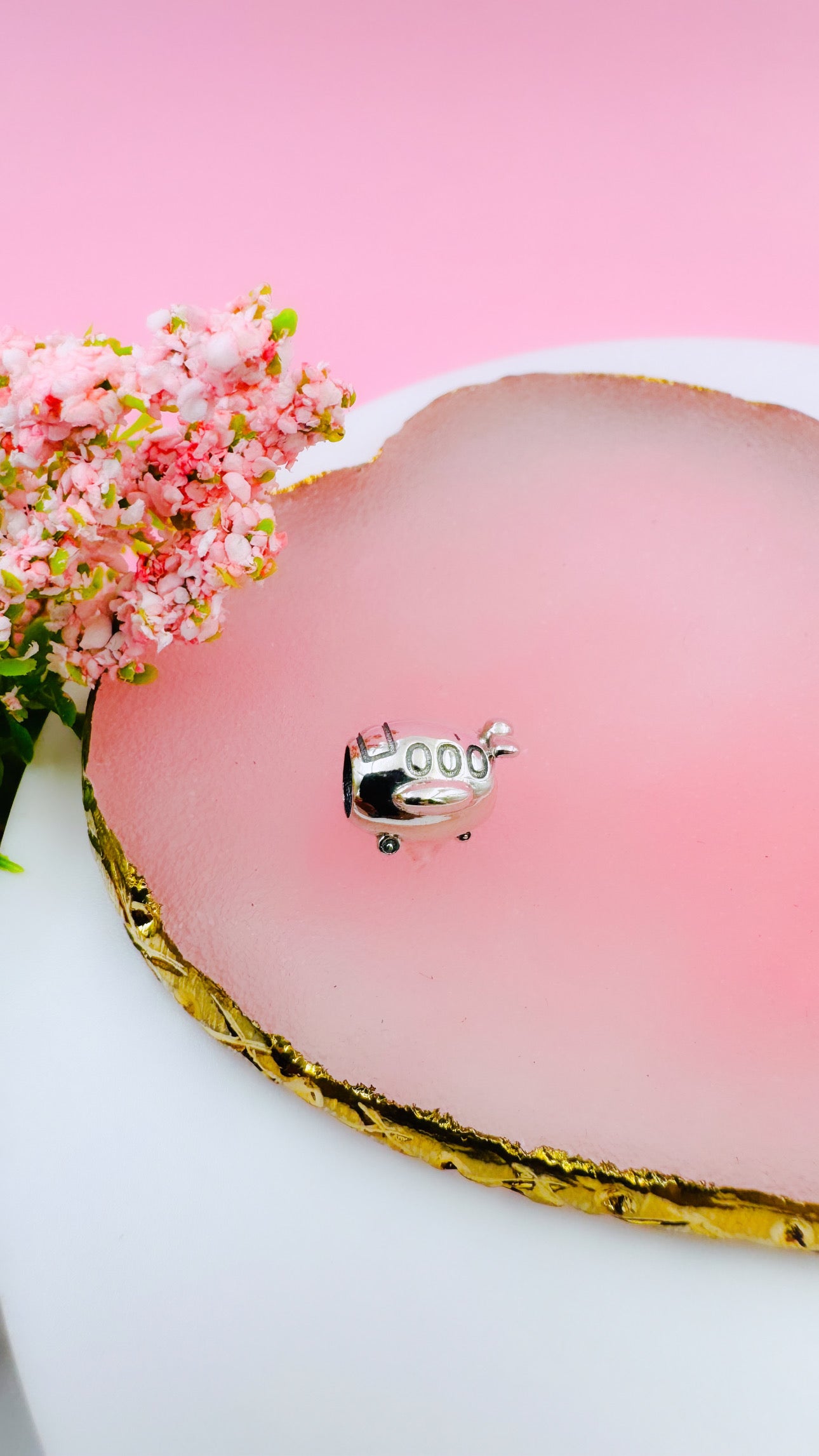 Charm Avion
